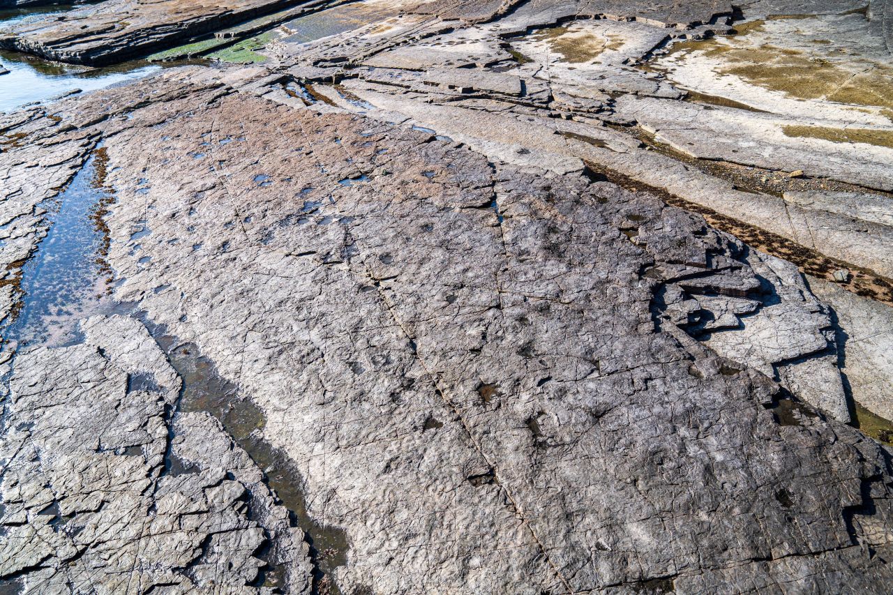 상족암군립공원