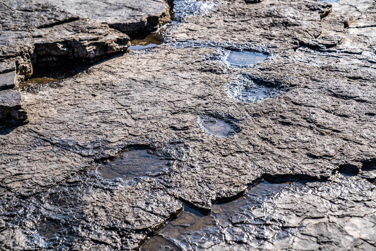 상족암군립공원