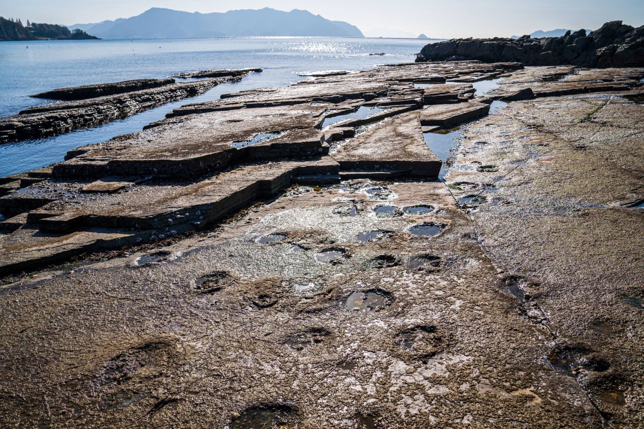 상족암군립공원