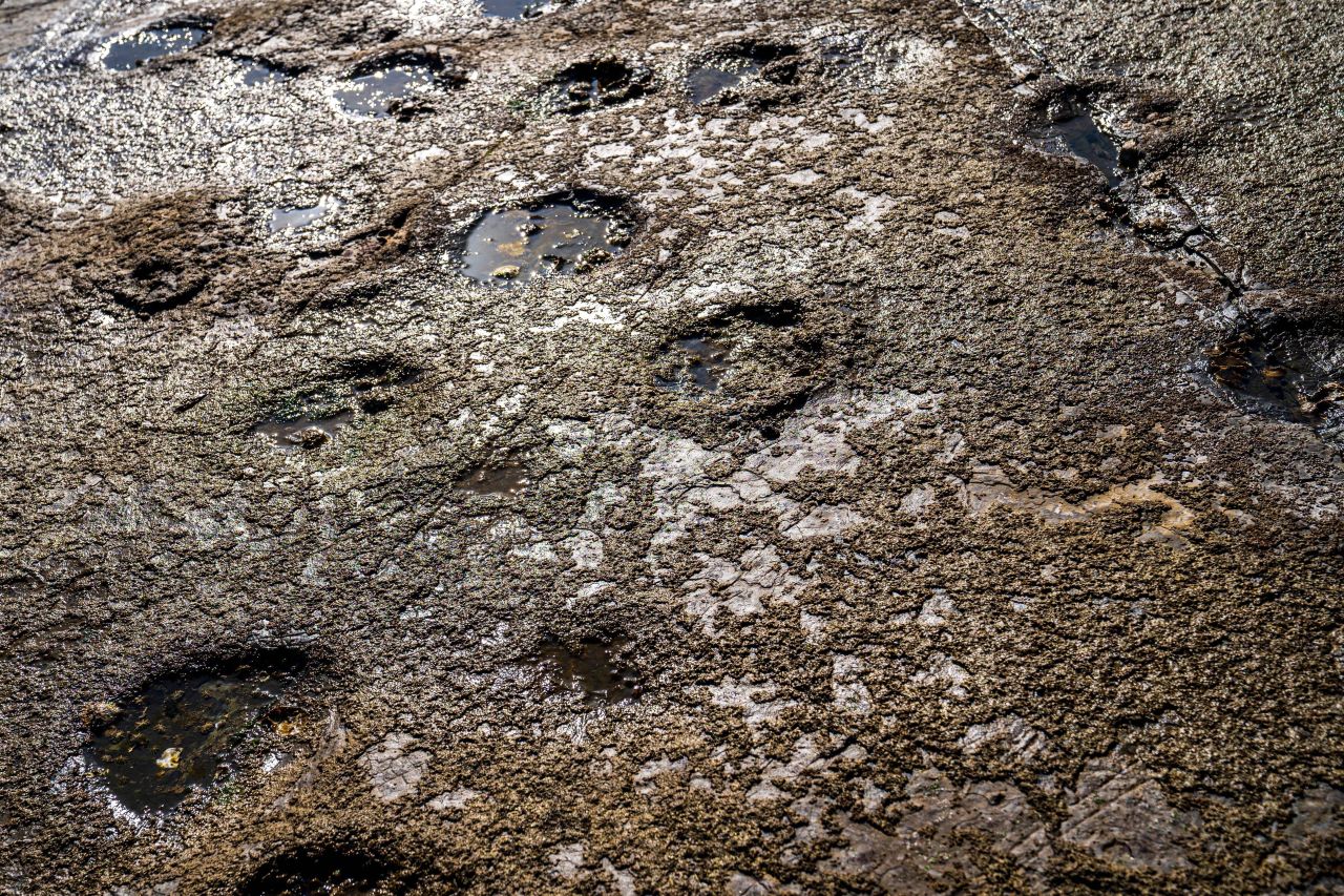 상족암군립공원