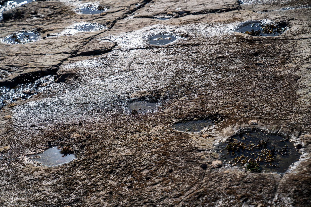 상족암군립공원