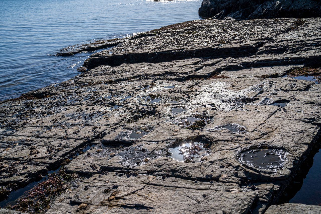 상족암군립공원