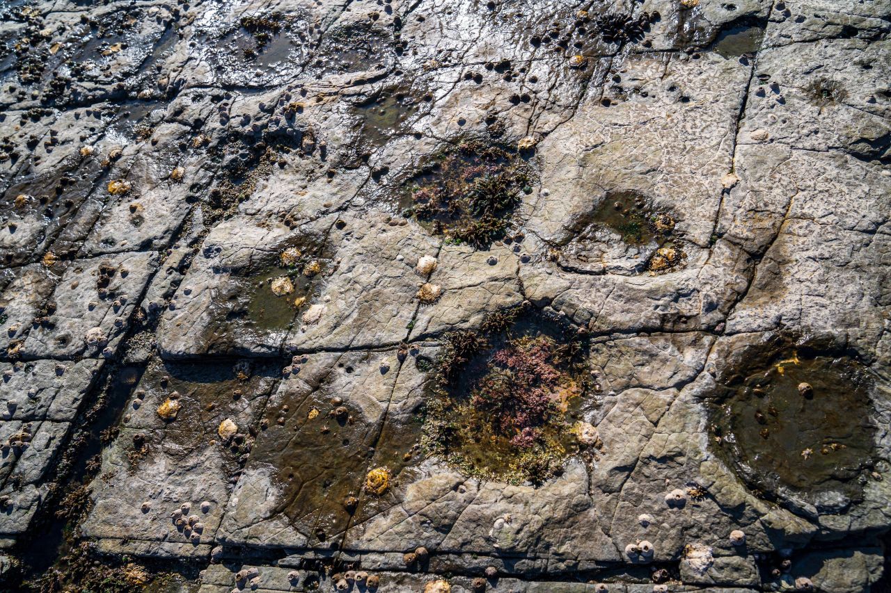 상족암군립공원