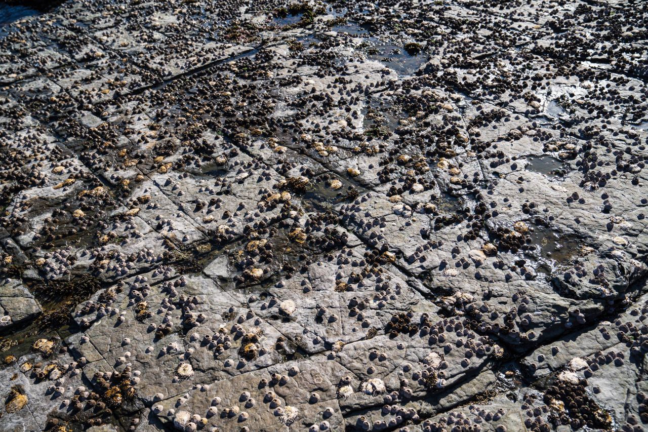 상족암군립공원