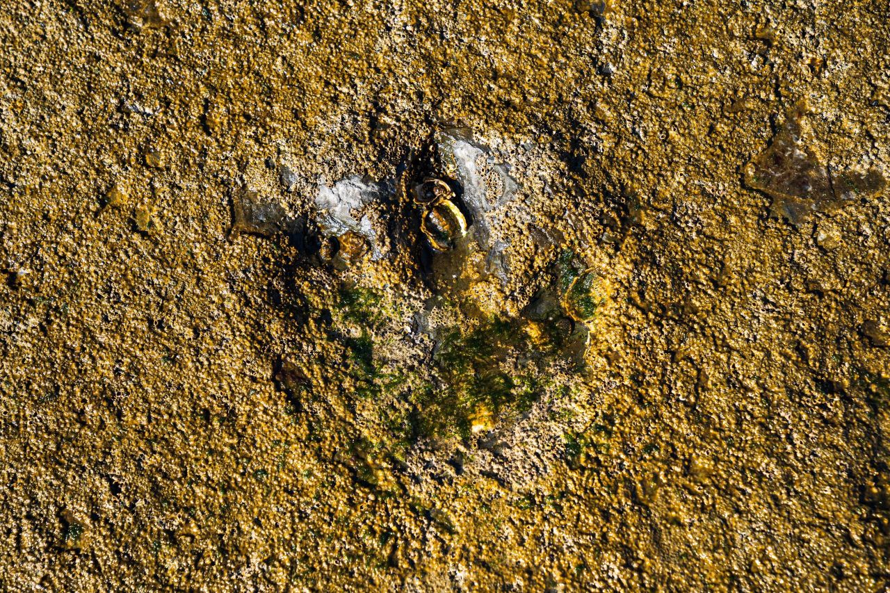 상족암군립공원