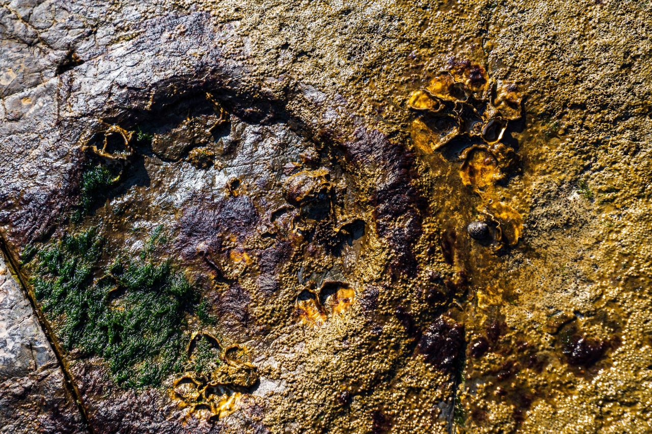 상족암군립공원