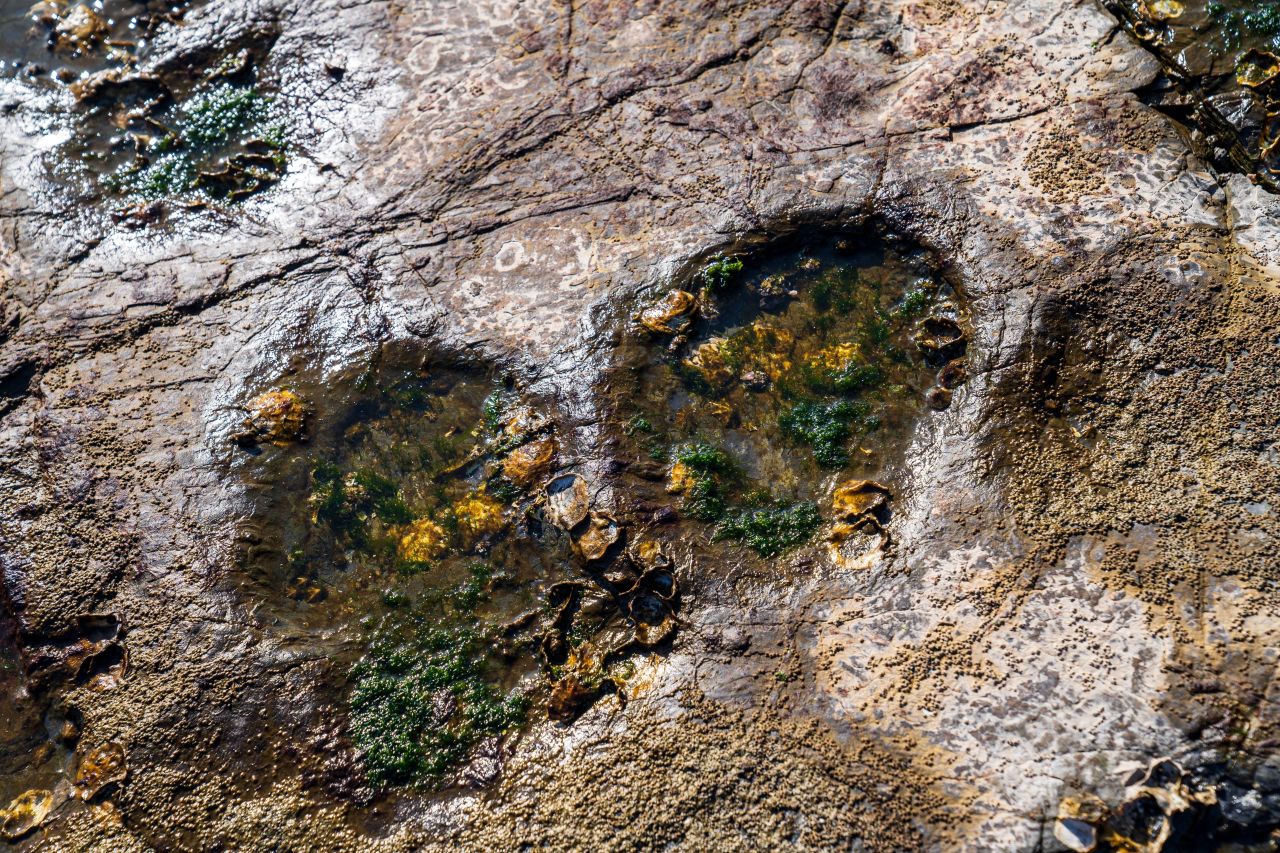 상족암군립공원