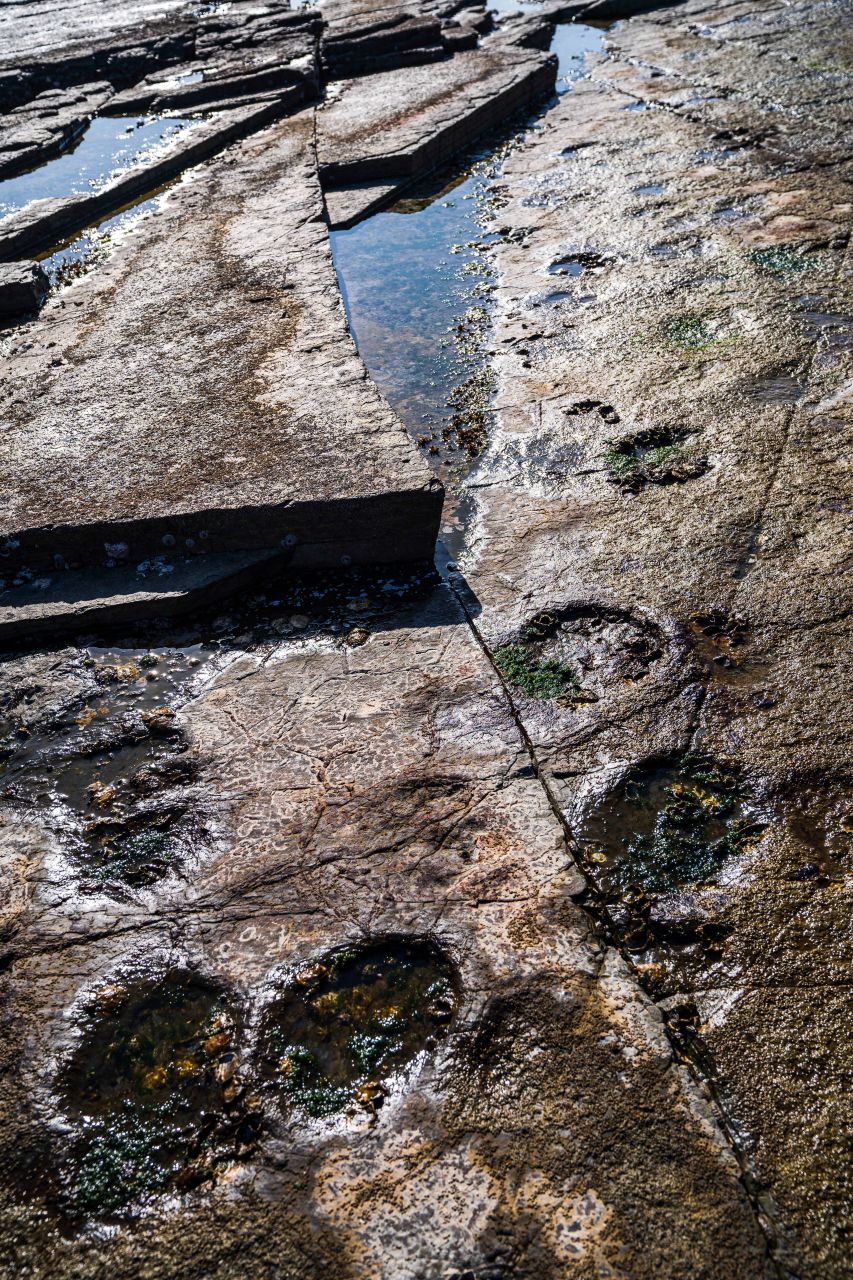 상족암군립공원