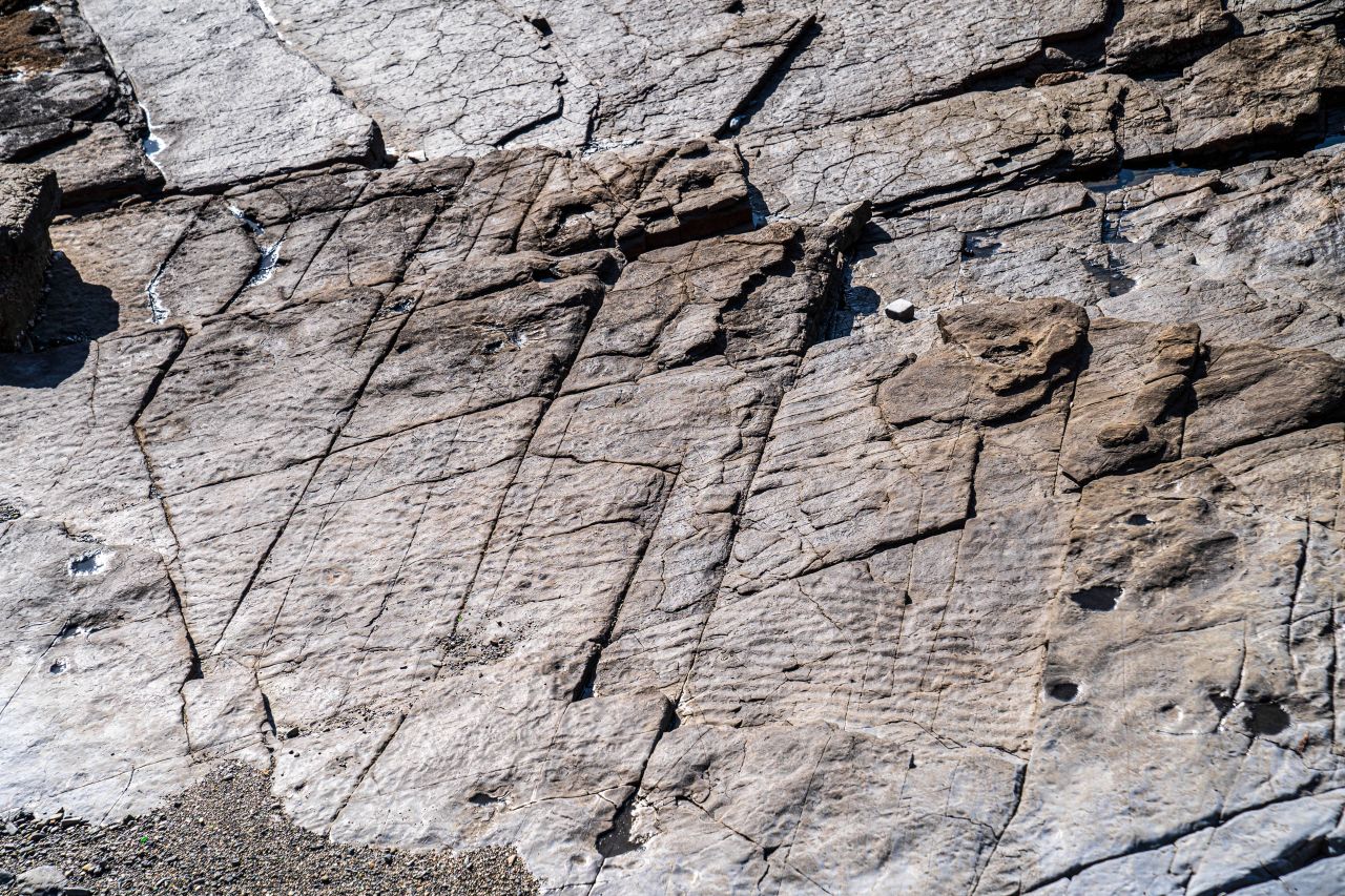 상족암군립공원