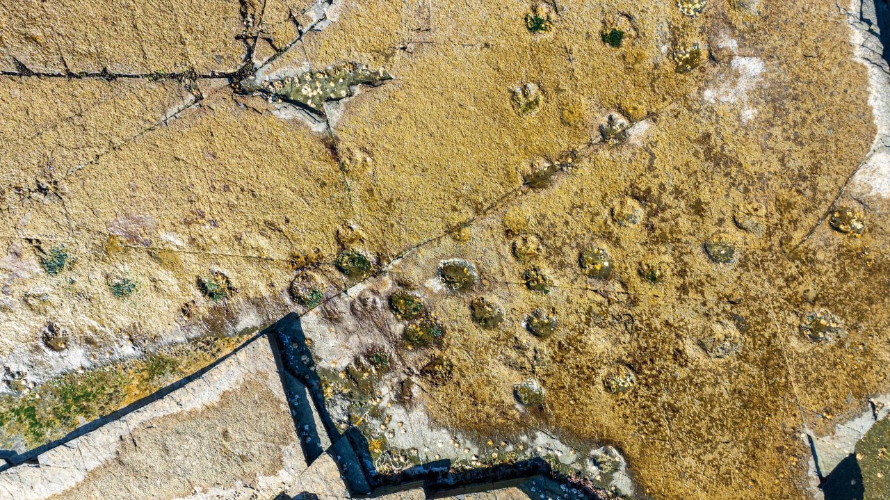 상족암군립공원