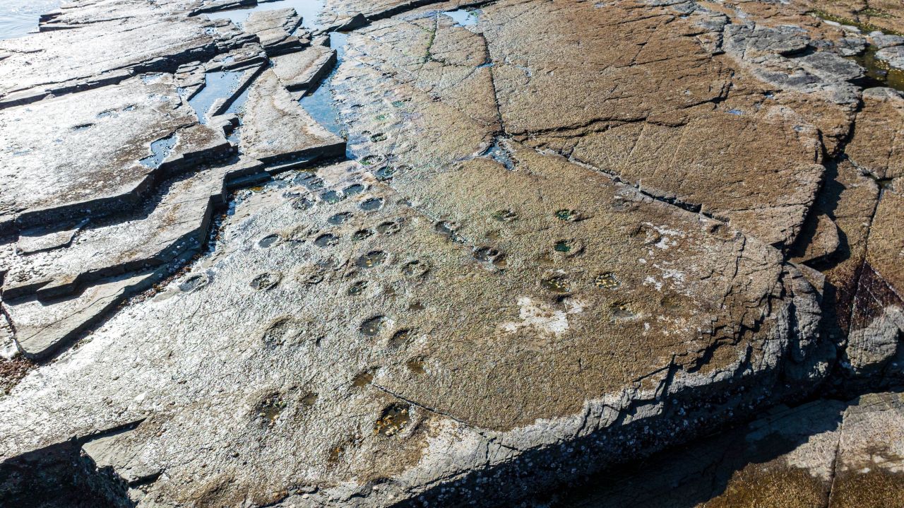 상족암군립공원
