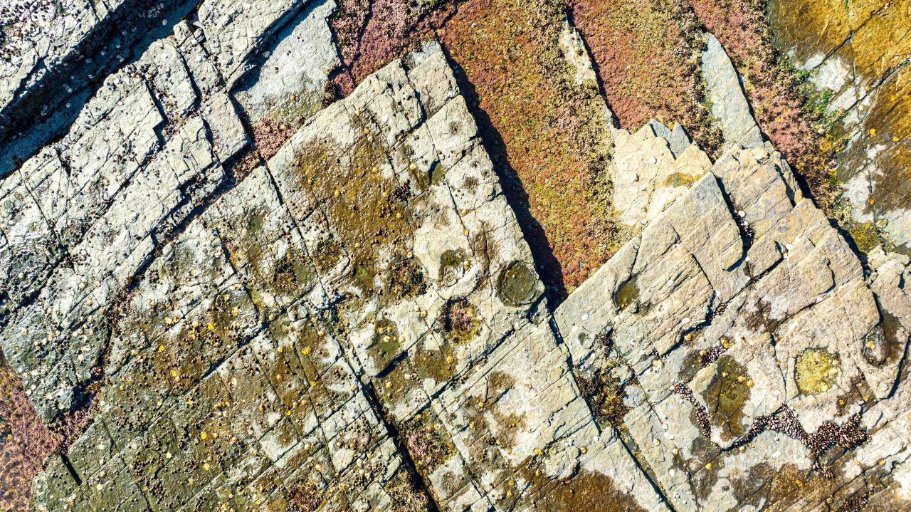 상족암군립공원