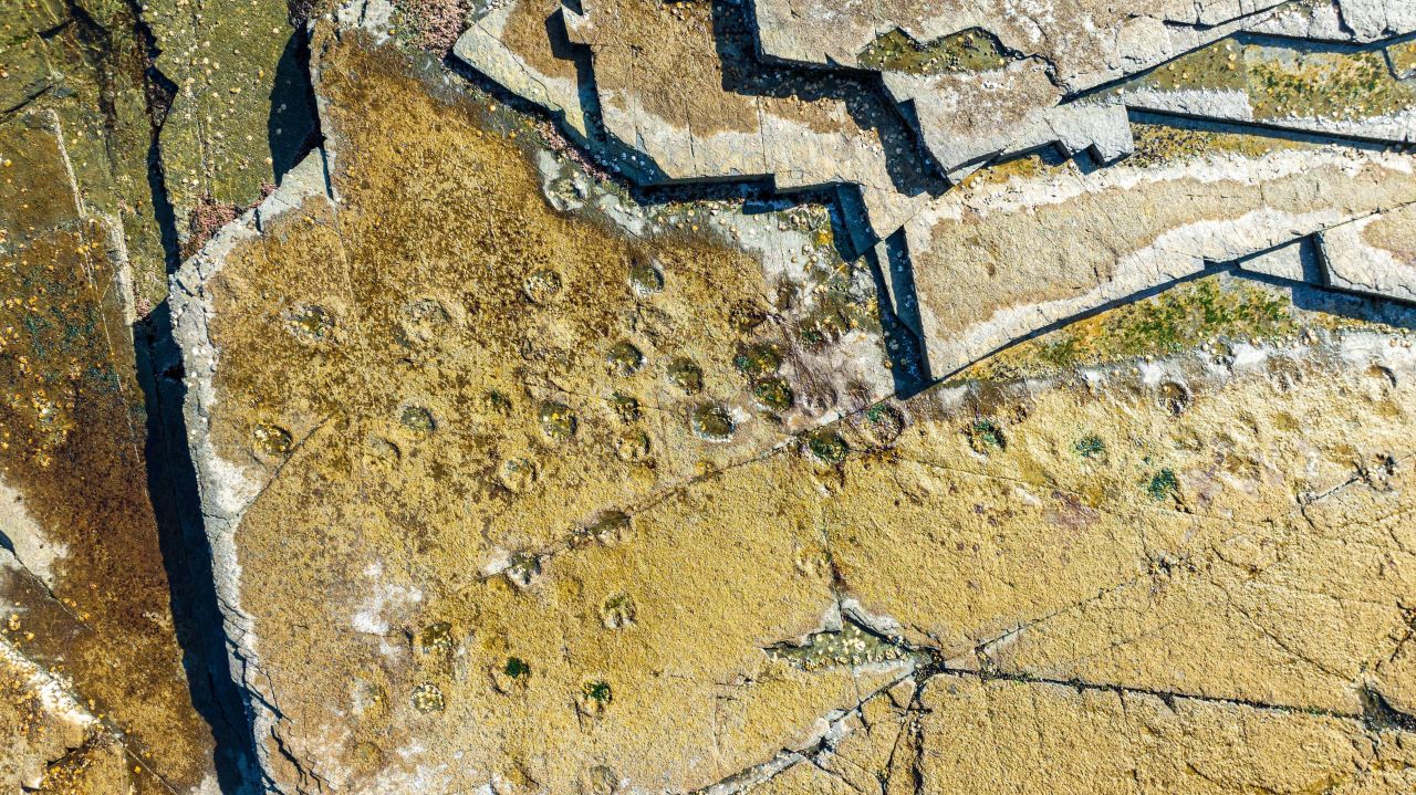 상족암군립공원