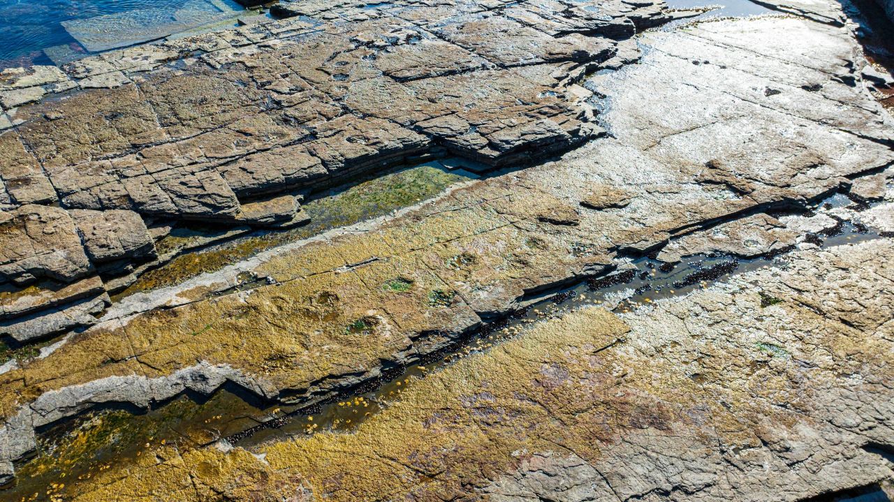 상족암군립공원