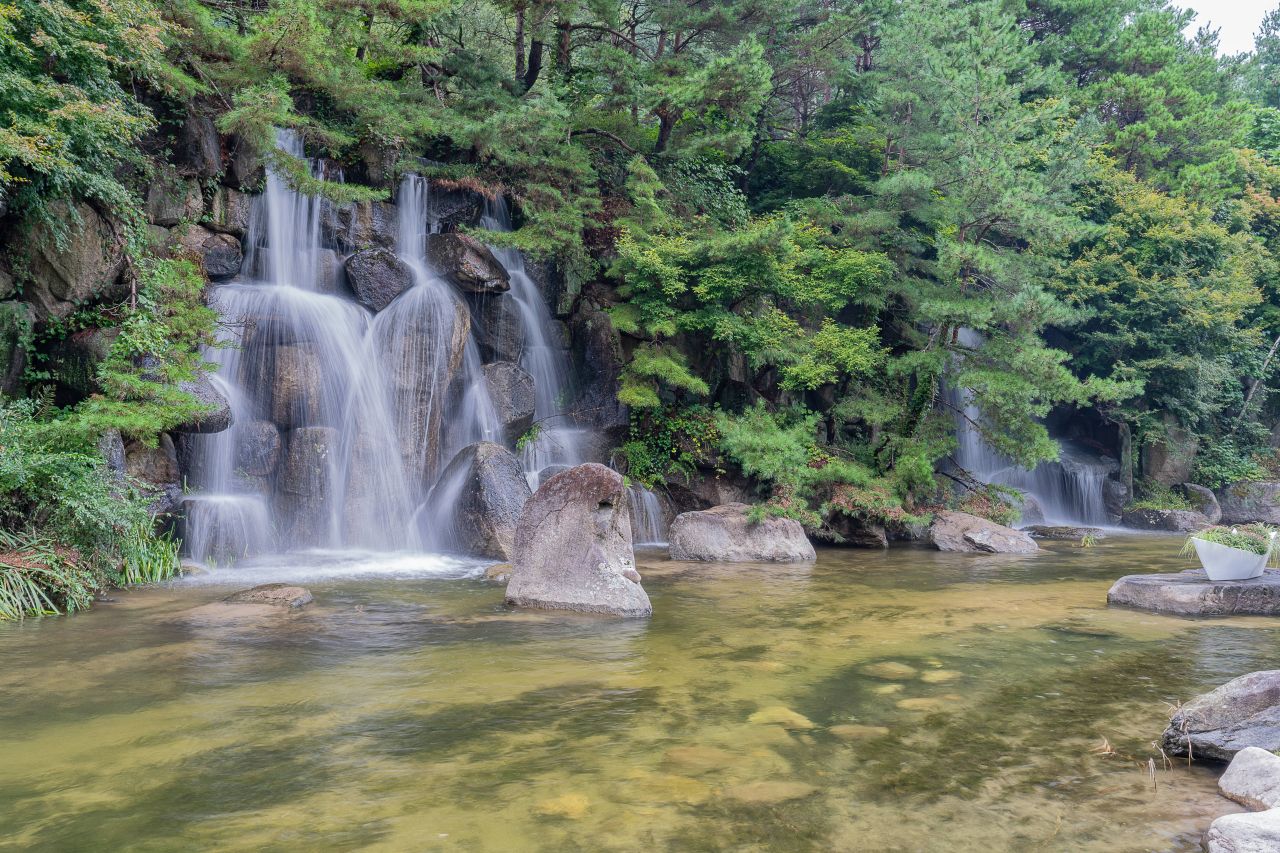 인제가을꽃축제