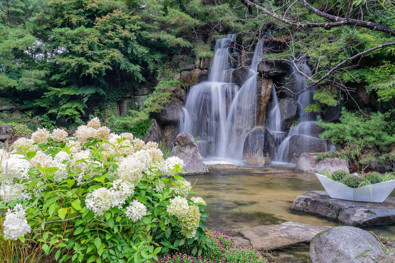 인제가을꽃축제