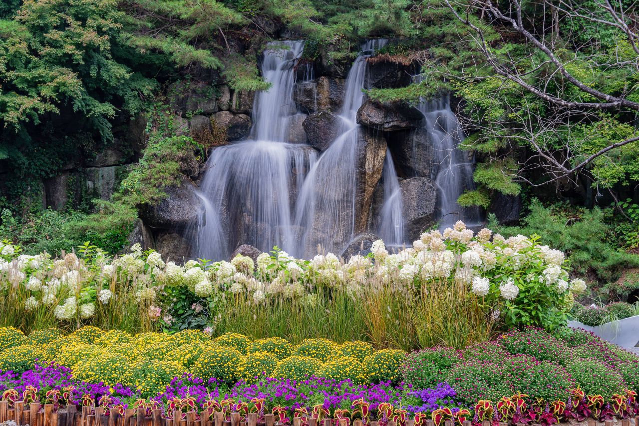 인제가을꽃축제