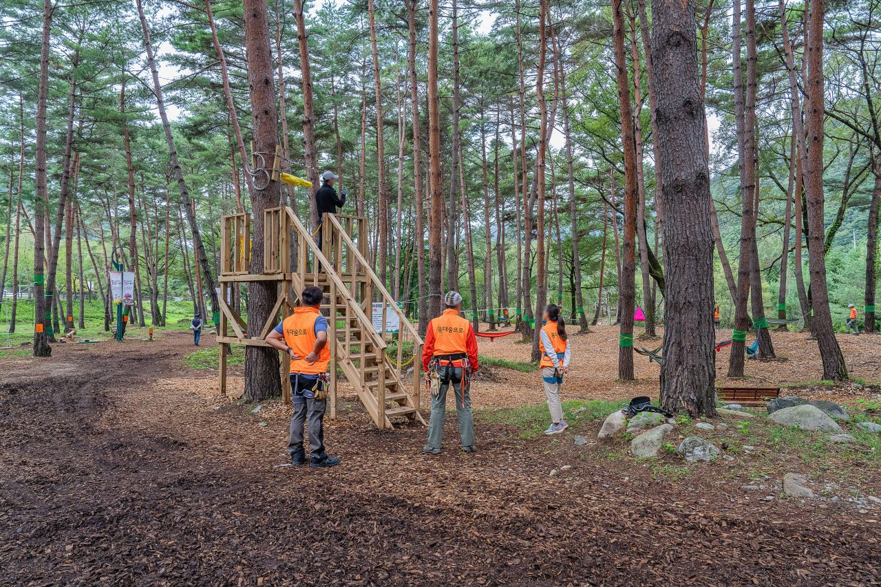 인제가을꽃축제