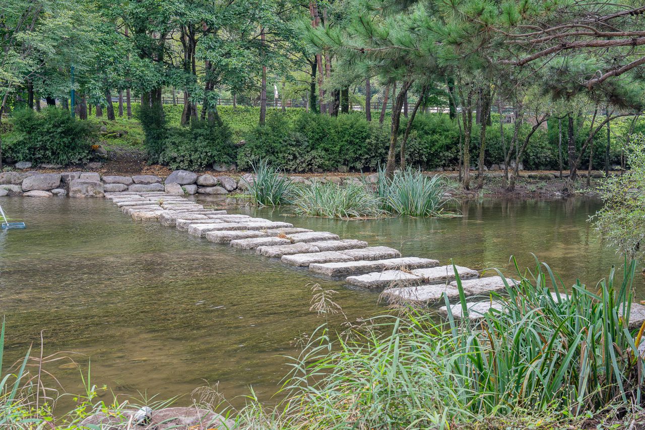 인제가을꽃축제