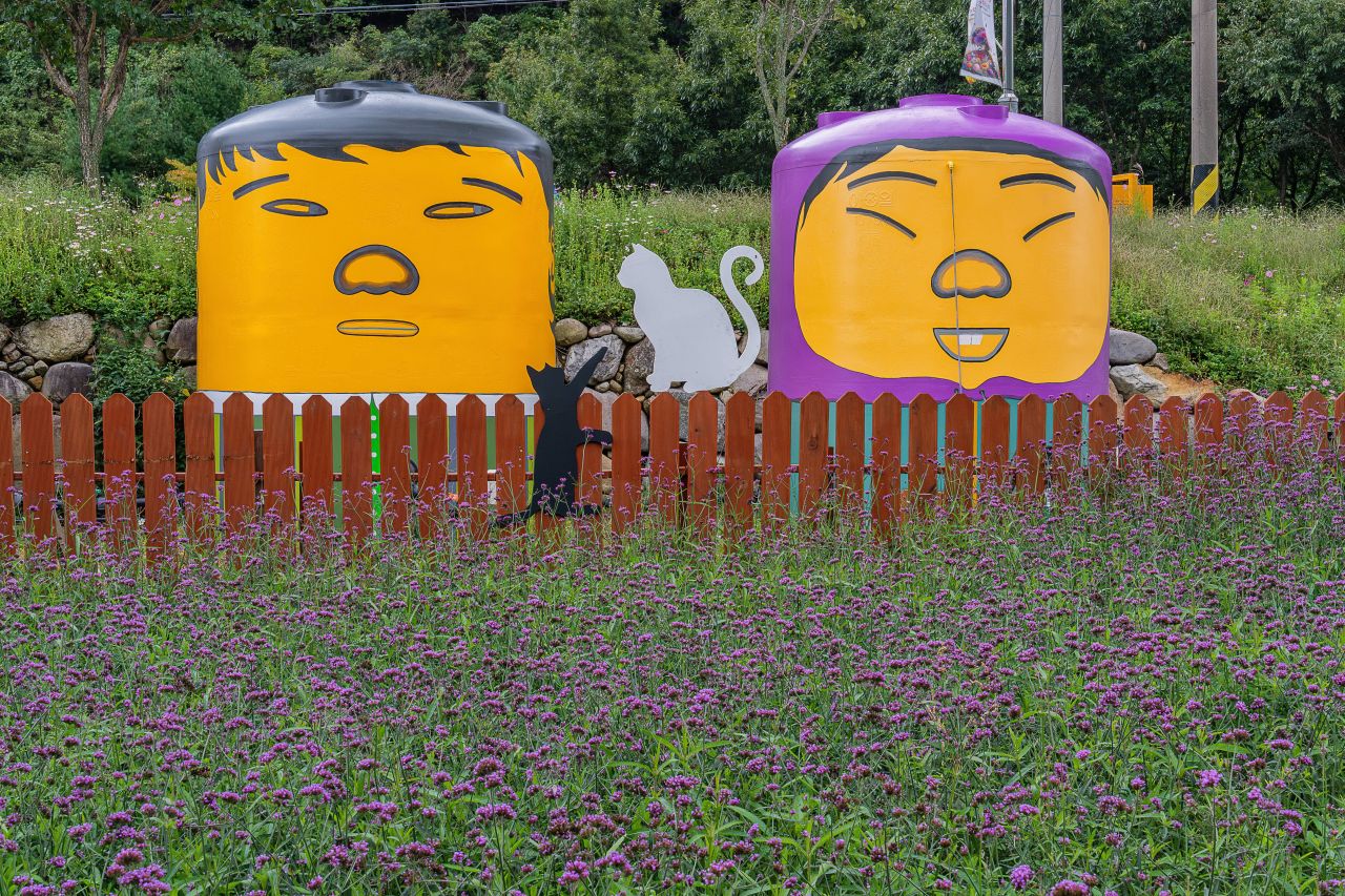 인제가을꽃축제