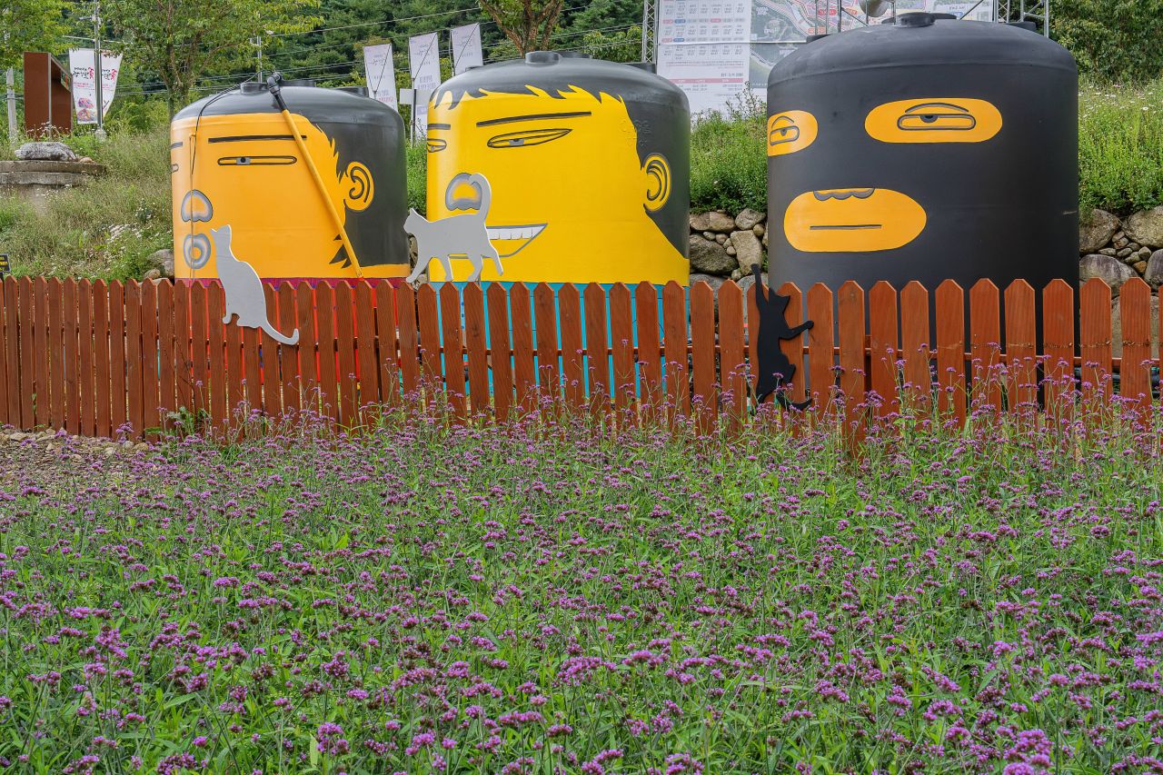 인제가을꽃축제