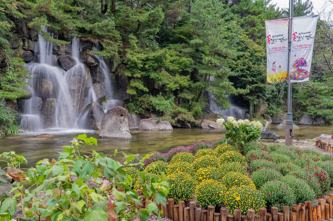 인제가을꽃축제