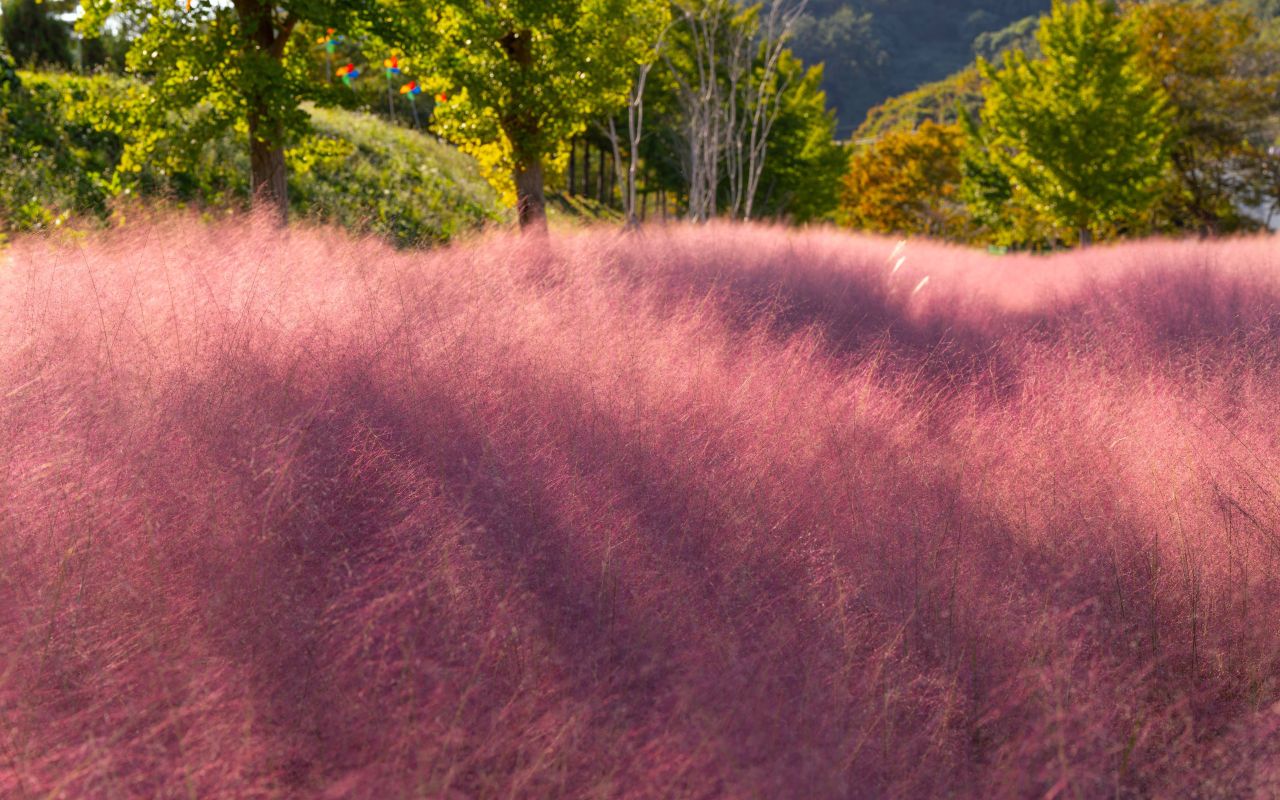 덕동맑은물플라워가든