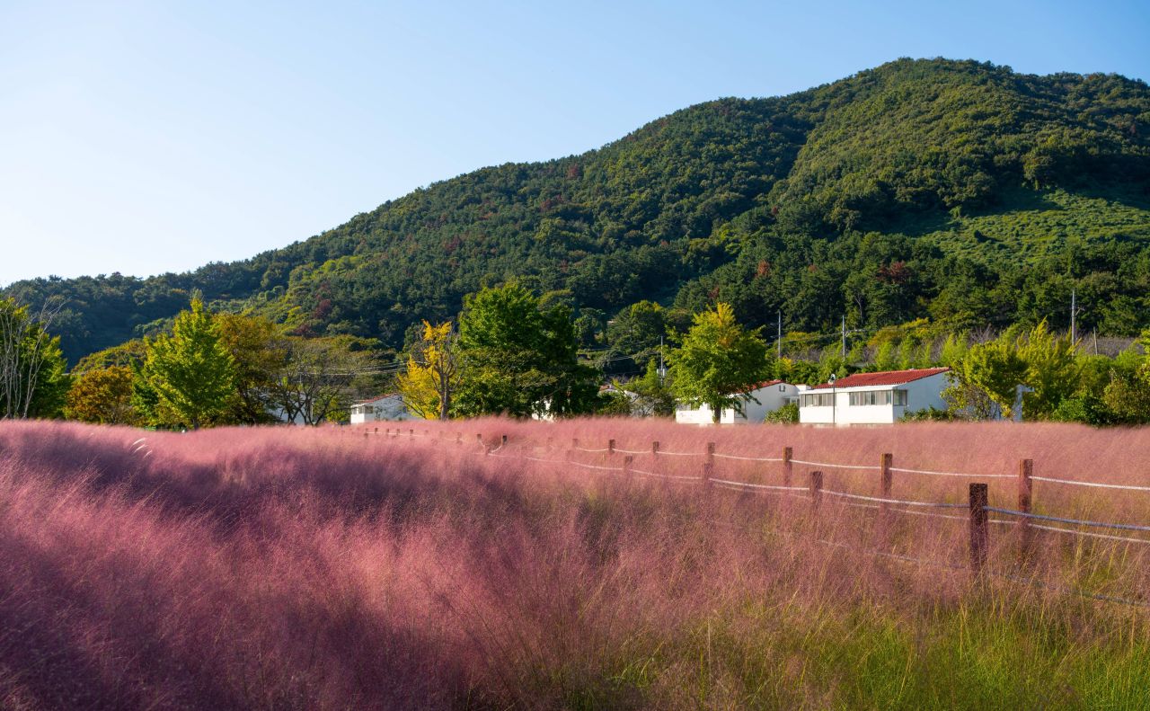덕동맑은물플라워가든