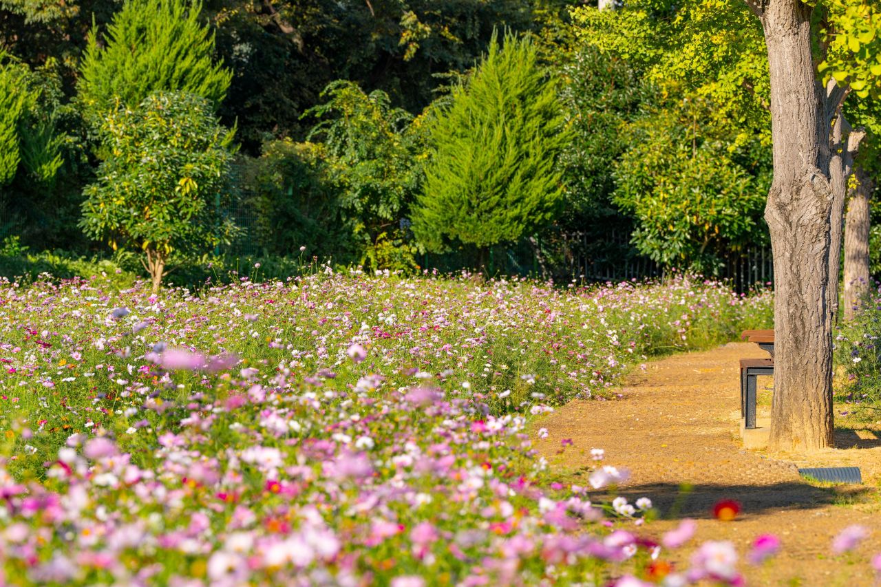 덕동맑은물플라워가든