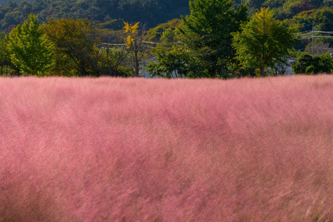 덕동맑은물플라워가든