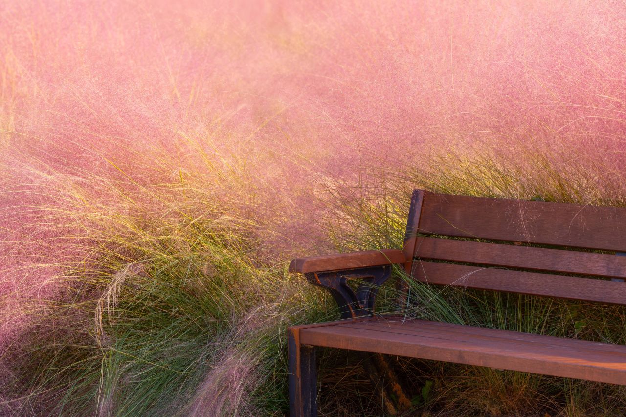 덕동맑은물플라워가든