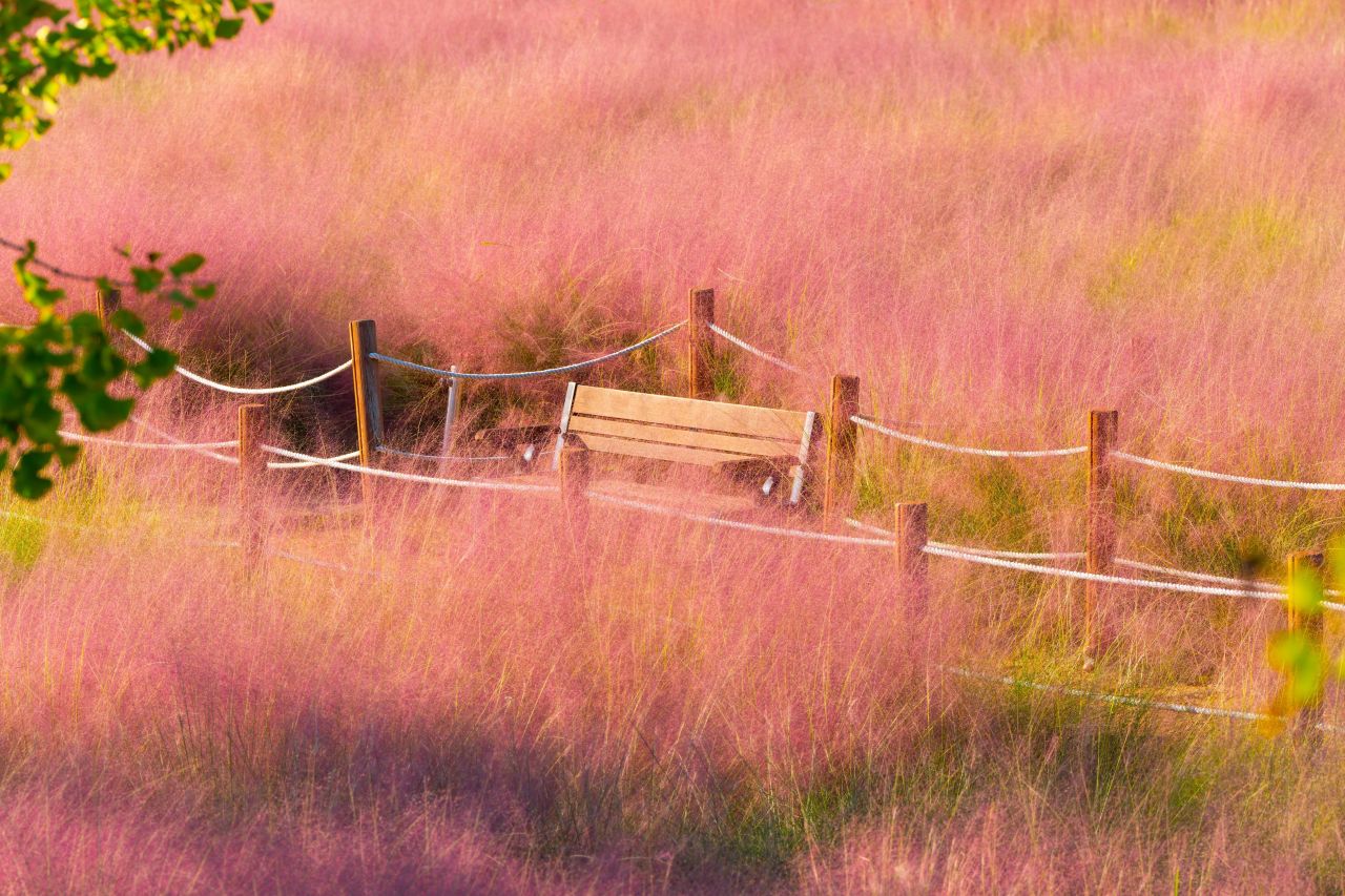 덕동맑은물플라워가든