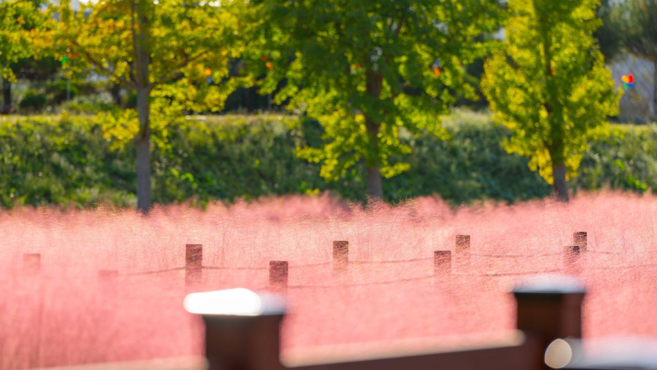 덕동맑은물플라워가든