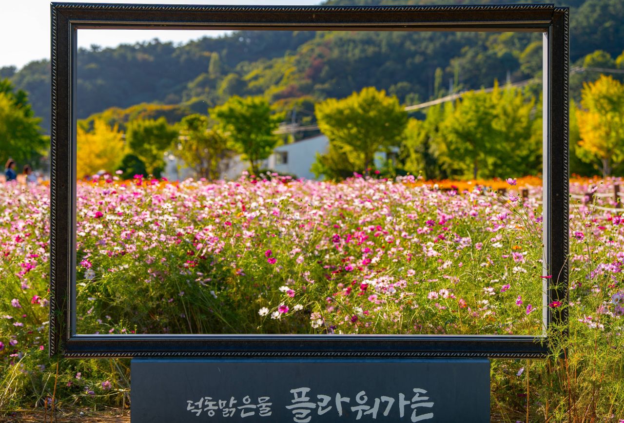 덕동맑은물플라워가든