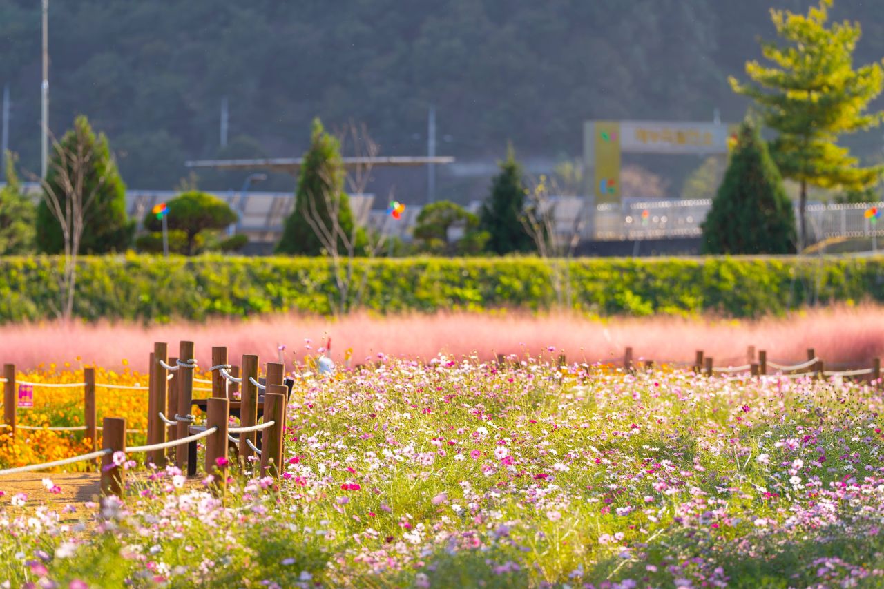 덕동맑은물플라워가든