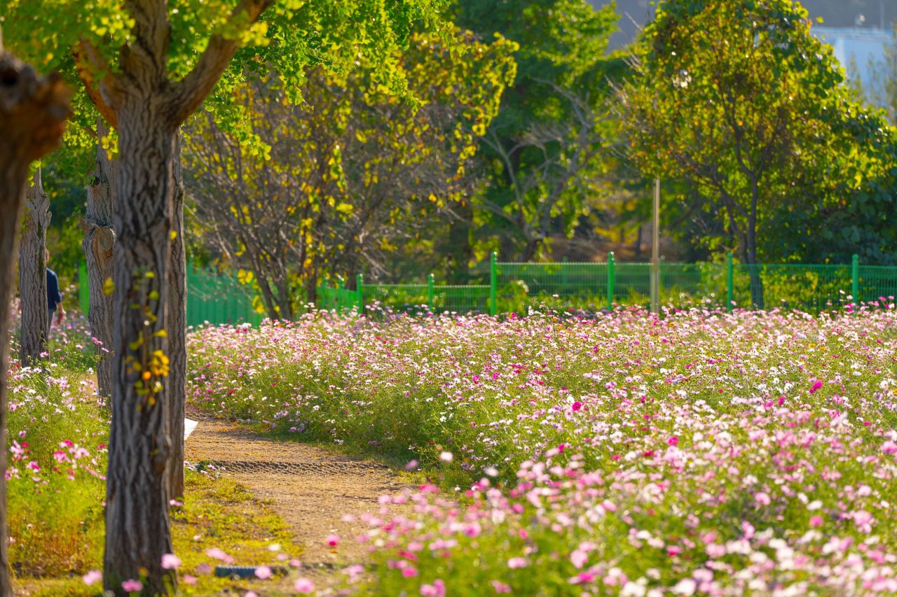 덕동맑은물플라워가든
