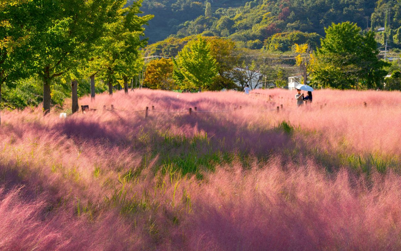덕동맑은물플라워가든