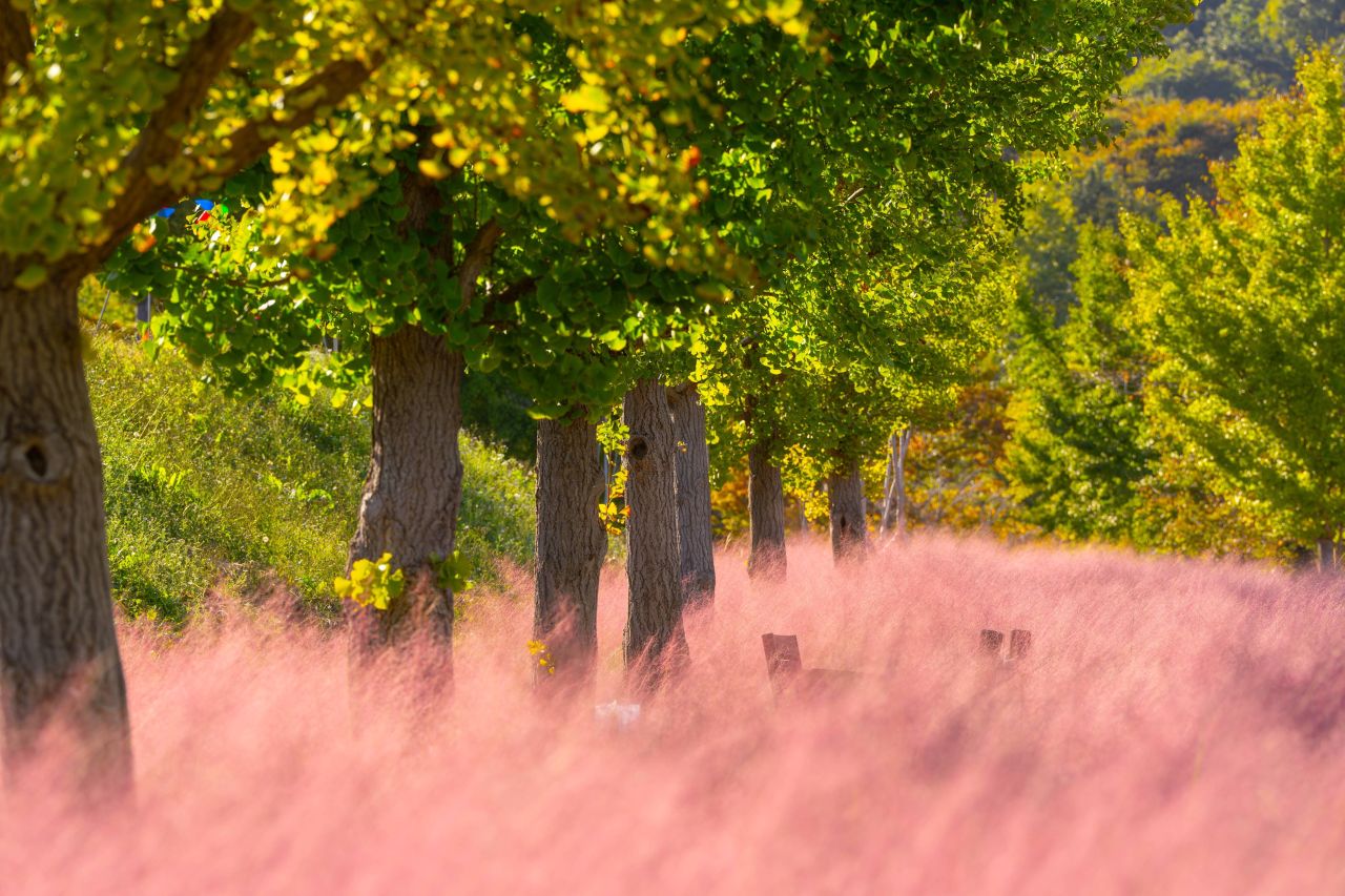덕동맑은물플라워가든