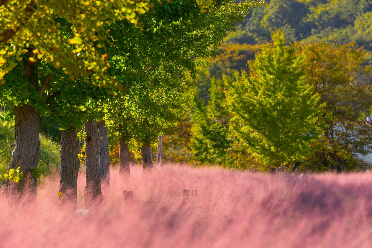 덕동맑은물플라워가든