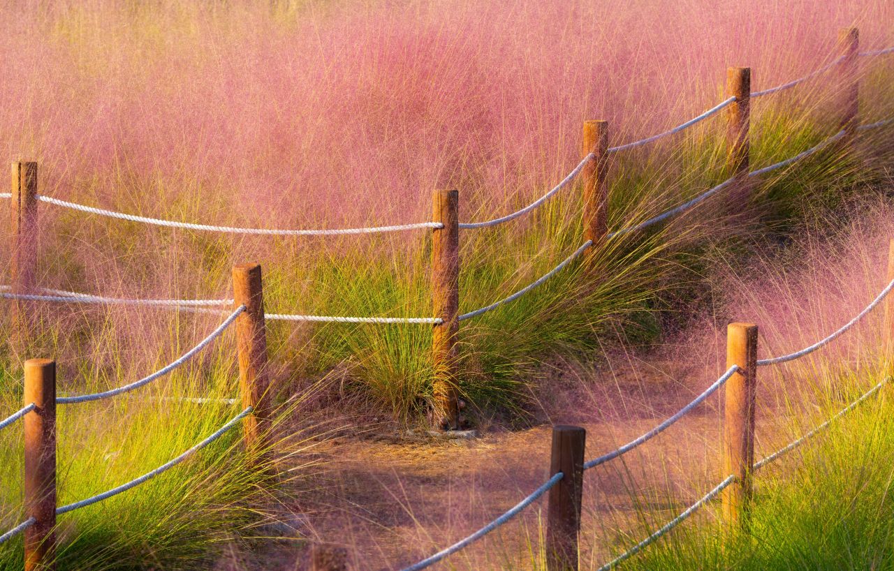 덕동맑은물플라워가든