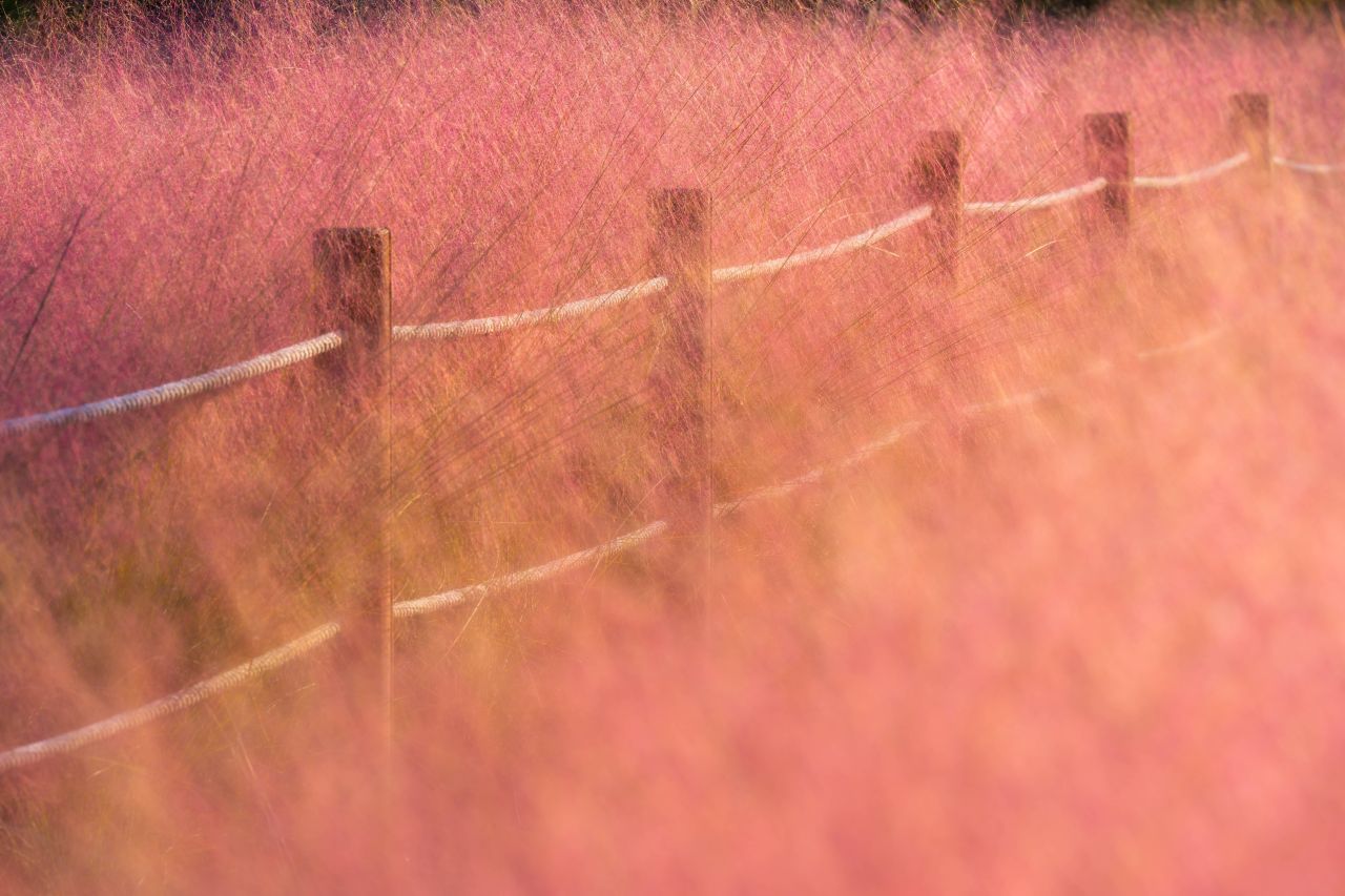 덕동맑은물플라워가든