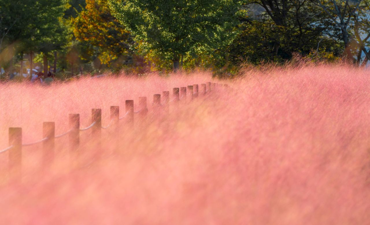덕동맑은물플라워가든