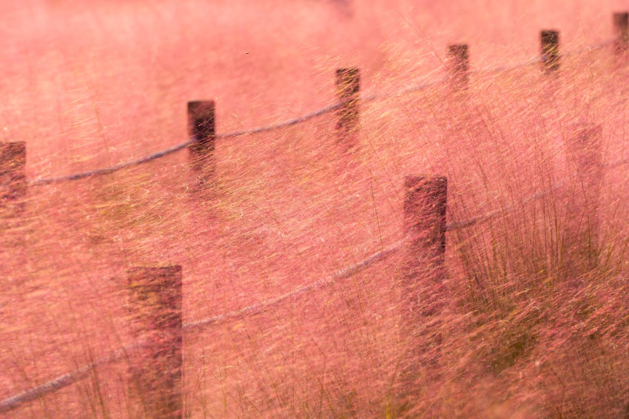 덕동맑은물플라워가든