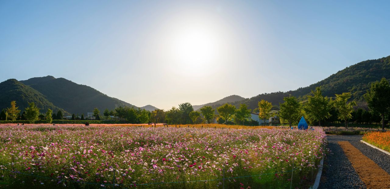 덕동맑은물플라워가든