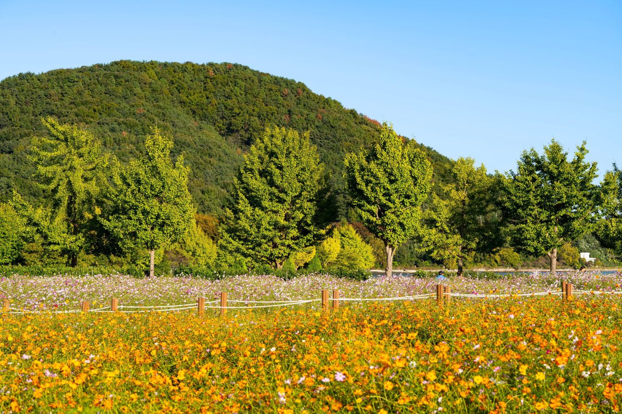덕동맑은물플라워가든