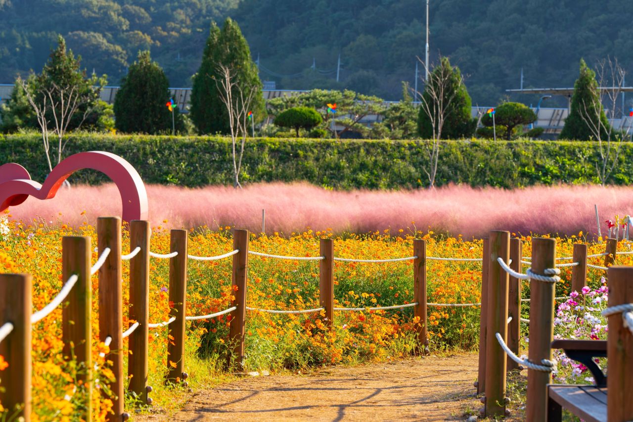 덕동맑은물플라워가든