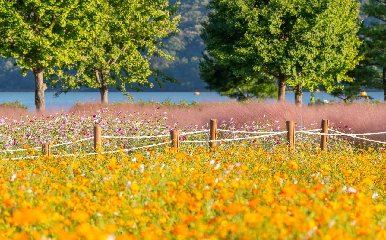 덕동맑은물플라워가든