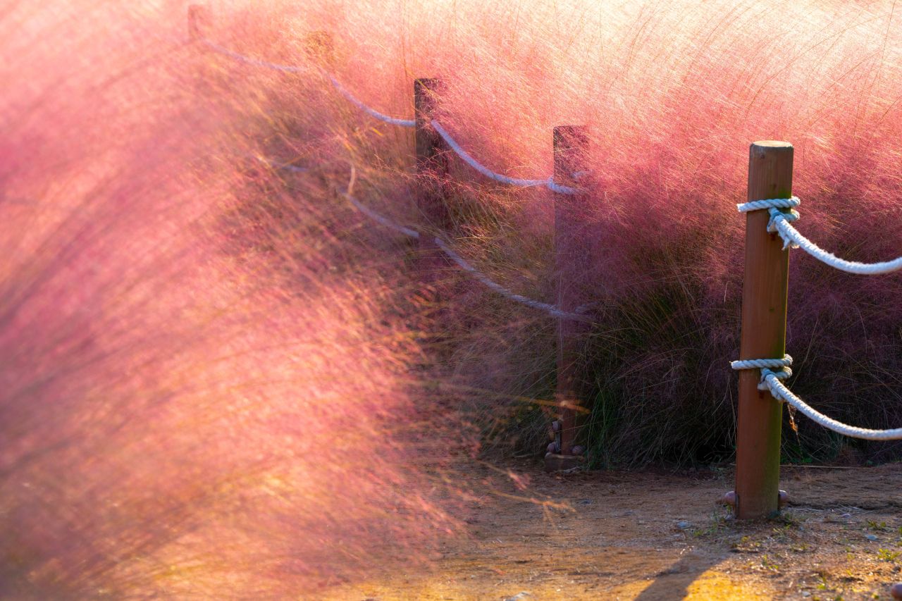 덕동맑은물플라워가든