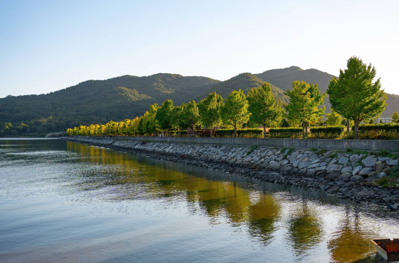 덕동맑은물플라워가든