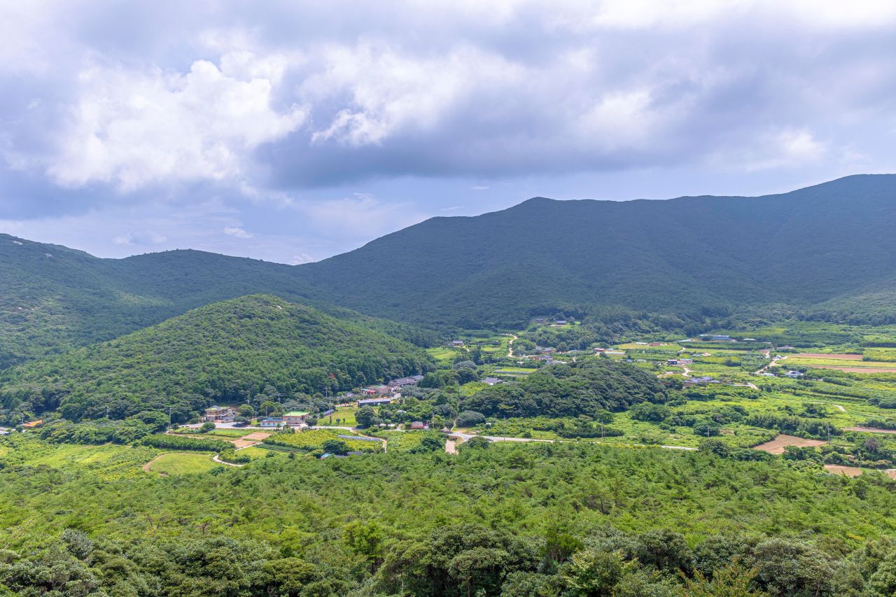 보길도 윤선도 원림
